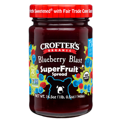 Blueberry Blast Premium Fruit Spread, 16.5oz 
